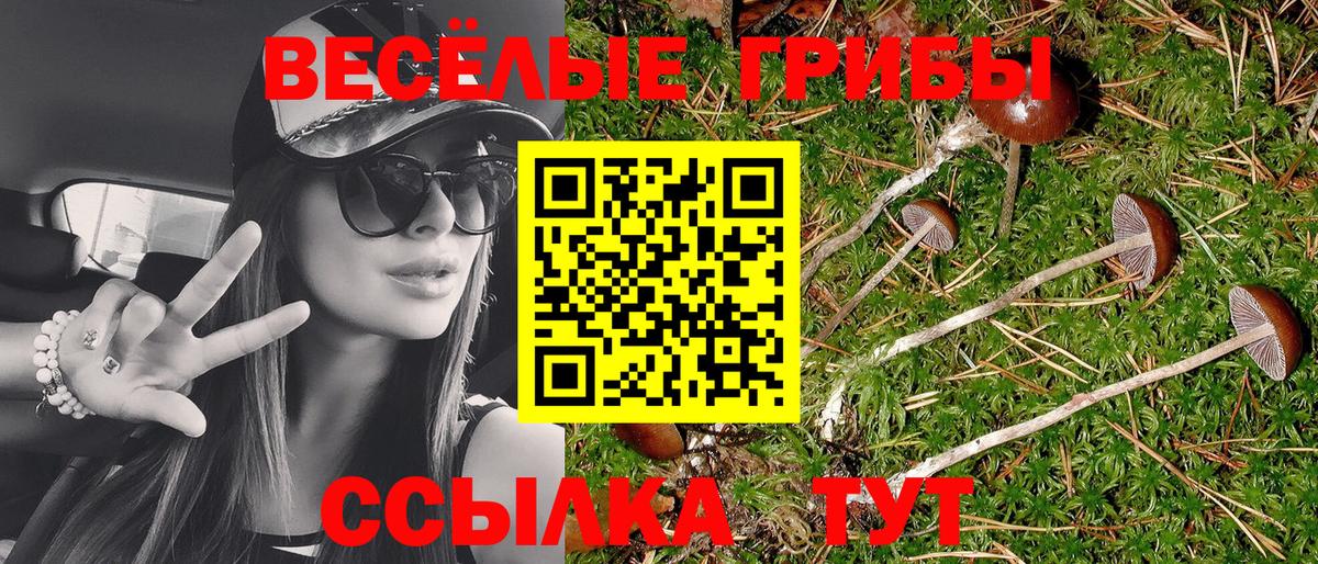 Дербент  Галлюциногенные грибы прущие грибы  Вход с VPN 